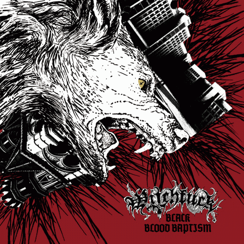 Witchfuck : Black Blood Baptism